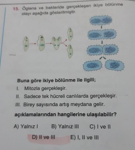 15. Öglena ve bakteride gerçekleşen ikiye bölünme
olayı aşağıda gösterilmiştir.
Buna göre ikiye bölünme ile ilgili;
1. Mitozla gerçekleşir.
II. Sadece tek hücreli canlılarda gerçekleşir.
III. Birey sayısında artış meydana gelir.
açıklamalarından hangilerin