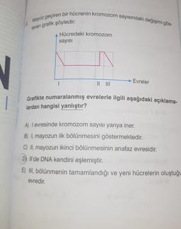 Mayoz geçiren bir hücrenin kromozom sayısındaki değişimi gös-
teren grafik şöyledir:
Hücredeki kromozom
sayısı
Evreler
Grafikte numaralanmış evrelerle ilgili aşağıdaki açıklama-
lardan hangisi yanlıştır?
A) I evresinde kromozom sayısı yarıya iner.
B) I, mayozun ilk bölünmesini göstermektedir.
C) II, mayozun ikinci bölünmesinin anafaz evresidir.
D) Il'de DNA kendini eşlemiştir.
E) III, bölünmenin tamamlandığı ve yeni hücrelerin oluştuğu
evredir.