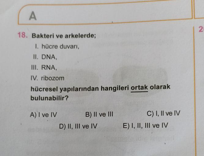 A 18. Bakteri ve arkelerde; 1. hücre duvarı, II. DN… Biyoloji A 18. Bakteri ve arkelerde; 1. hücre duvarı, II. DN… Biyoloji