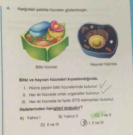 4. Aşağıdaki şekilde hücreler gösterilmiştir. Bitki… Biyoloji 4. Aşağıdaki şekilde hücreler gösterilmiştir. Bitki… Biyoloji