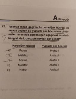 A Kitapçığı
22. İnsanda mitoz geçiren bir karaciğer hücresi ile
mayoz geçiren bir yumurta ana hücresinin bölün-
meleri sırasında gerçekleşen aşağıdaki evrelerin
hangisinde kromozom sayıları eşit olmaz?
& edital
Karaciğer hücresi
A)
B)
C)
D)
E)
Profaz
Metafaz
Anafaz
Metafaz
Profaz
Yumurta ana hücresi
Profaz I
Anafaz I
Anafaz II
Anafaz II
Anafaz I