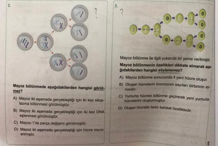 2.
m
8
XX
11
1/
Mayoz bölünmede aşağıdakilerden hangisi görül-
mez?
A) Mayoz iki aşamada gerçekleştiği için iki kez sitop-
lazma bölünmesi görülmüştür.
B) Mayoz iki aşamada gerçekleştiği için iki kez DNA
eşlenmesi görülmüştür.
C) Mayoz-1'de parça değişimi 