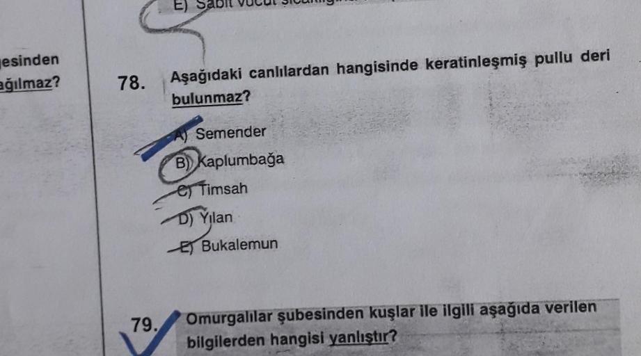 esinden
ağılmaz?
78.
79.
E) S
Aşağıdaki canlılardan hangisinde keratinleşmiş pullu deri
bulunmaz?
Semender
B) Kaplumbağa
e Timsah
D) Yılan
Bukalemun
Omurgalılar şubesinden kuşlar ile ilgili aşağıda verilen
bilgilerden hangisi yanlıştır?