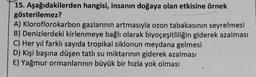 hangisi, insanın doğaya olan etkisine örnek
15. Aşağıdakilerden
gösterilemez?
A) Kloroflorokarbon gazlarının artmasıyla ozon tabakasının seyrelmesi
B) Denizlerdeki kirlenmeye bağlı olarak biyoçeşitliliğin giderek azalması
C) Her yıl farklı sayıda tropikal siklonun meydana gelmesi
D) Kişi başına düşen tatlı su miktarının giderek azalması
E) Yağmur ormanlarının büyük bir hızla yok olması