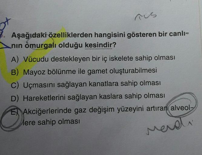 rus
7. Aşağıdaki özelliklerden hangisini gösteren bir canlı-
nın omurgalı olduğu kesindir?
A) Vücudu destekleyen bir iç iskelete sahip olması
B) Mayoz bölünme ile gamet oluşturabilmesi
C) Uçmasını sağlayan kanatlara sahip olması
D) Hareketlerini sağlayan k