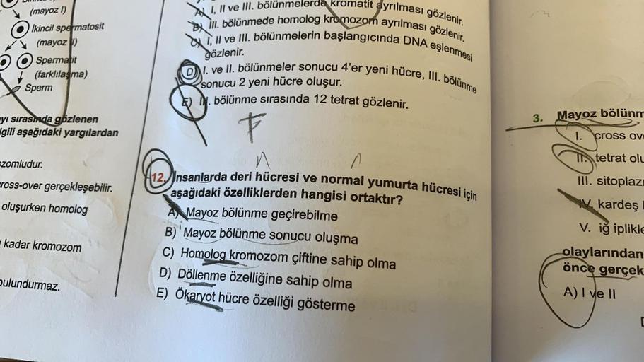 (mayoz l)
Ikincil spermatosit
(mayoz)
Spermatit
(farklılaşma)
Sperm
yi sırasında gözlenen
gili aşağıdaki yargılardan
zomludur.
cross-over gerçekleşebilir.
oluşurken homolog
kadar kromozom
bulundurmaz.
A I, II ve III. bölünmelerde kromatit ayrılması gözleni