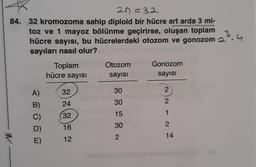 2n=32
84. 32 kromozoma sahip diploid bir hücre art arda 3 mi-
3.4
toz ve 1 mayoz bölünme geçirirse, oluşan toplam
hücre sayısı, bu hücrelerdeki otozom ve gonozom 2.
sayıları nasıl olur?
Toplam
hücre sayısı
A)
B)
C)
D)
E)
32
24
32
16
12
Otozom
sayısı
30
Invent
30
15
30
2
Gonozom
sayısı
2
-
2
1
2
14