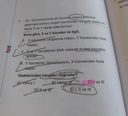 2n = 24 kromozomlu bir hücrenin mayoz bölünme
geçirmesi sonucu oluşan hücrelerden rastgele seçilen iki
hücre X ve Y olarak adlandırılıyor.
Buna göre, X ve Y hücreleri ile ilgili,
X hücresinin sitoplazma miktarı, Y hücresinden fazla
olabilir.
II. X-ve Y hücrelerinin DNA nükleotit dizilimi kesinlikle
aynıdır.
4.
I. Y hücresinin ribozom sayısı, X hücresinden fazla
etabilir.
ifadelerinden hangileri doğrudur?
A) Yalnız I
B) Yalnız T
D) II ve til
C) I ve III
E) I, II ve III
olay
A) Yal