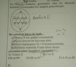 Anafaz
2-) (Mayoz) bölünme geçirmekte olan bir hücrenin
bölünme evrelerinden biri aşağıda gösterilmiştir.
Andfaz 1/
COOC
Bu eyredeki hücre ile ilgili,
Mayoz II nin anafaz evresindedir.
Eşeyli üreyen bir hayvana aittir.
Hücre başlangıçta 2n = 8 kromozomludur.
Bölünme sırasında 8 tane tetrat oluşur.
yorumlarından hangileri yapılabilir?
A) Yalnız II
B) I ve II
e) ve IV
3)
20= 4
n=2
D) HII ve IV
E) I, II ve III