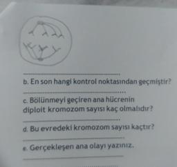 ****************
b. En son hangi kontrol noktasından geçmiştir?
c. Bölünmeyi geçiren ana hücrenin
diploit kromozom sayısı kaç olmalıdır?
d. Bu evredeki kromozom sayısı kaçtır?
e. Gerçekleşen ana olayı yazınız.