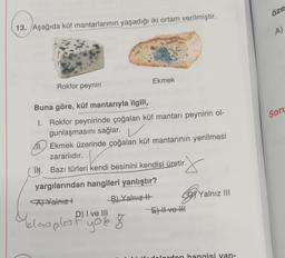 13. Aşağıda küf mantarlarının yaşadığı iki ortam verilmiştir.
Rokfor peyniri
Ekmek
Buna göre, küf mantarıyla ilgili,
1. Rokfor peynirinde çoğalan küf mantarı peynirin ol-
gunlaşmasını sağlar.
11. Ekmek üzerinde çoğalan küf mantarının yenilmesi
zararlıdır.
TN. Bazı türleri kendi besinini kendisi üretir.
y
yargılarından hangileri yanlıştır?
A) Yalnız
B) Yalnız
Meloroplast you o
D) I ve
E) II ve III
Yalnız III
delerden hangisi yan-
öze
A)
Sorl