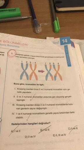 ABILO BOSS
ORIGINAL
E BÖLÜNMELERİ
ayoz Bölünme
eşen
si ilk
3.
Test 14
Aşağıdaki şekilde, mayoz bölünmede gerçekleşen krossing over
olayı şematize edilmiştir.
XX-XX
ÖĞRENME TESTI
Buna göre, kromatitler ile ilgili;
1. Krossing overden önce 2 ve 3 numaralı kr