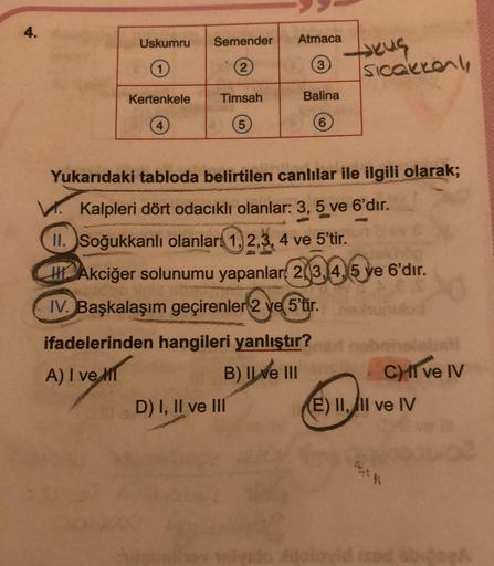 4.
Uskumru
1
Kertenkele
Semender
(2)
Timsah
Atmaca
3
Balina
D) I, II ve III
ifadelerinden hangileri yanlıştır?
A) I ve
B) Il ve III
6
Yukarıdaki tabloda belirtilen canlılar ile ilgili olarak;
V. Kalpleri dört odacıklı olanlar: 3, 5 ve 6'dır.
-bm
→kus
Sicak