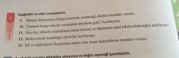 Ç
AÇIK UÇLU
Aşağıdaki soruları cevaplayınız.
9. Meteor düşmesinin Dünya üzerinde yaratacağı etkilere örnekler veriniz.
10. Tsunami hangi olaylar sonucunda meydana gelir? Açıklayınız.
11. Sıra dışı yüksek sıcaklıkların enerji üretimi ve tüketimini nasıl etkileyebileceğini açıklayınız.
12. Meteorolojik kuraklığın etkilerini açıklayınız.
13. Sel ve taşkınların oluşmasına neden olan insan faaliyetlerine örnekler veriniz.
račudaki soruları dikkatlice okuyunuz ve doğru seçeneği işaretleyiniz.