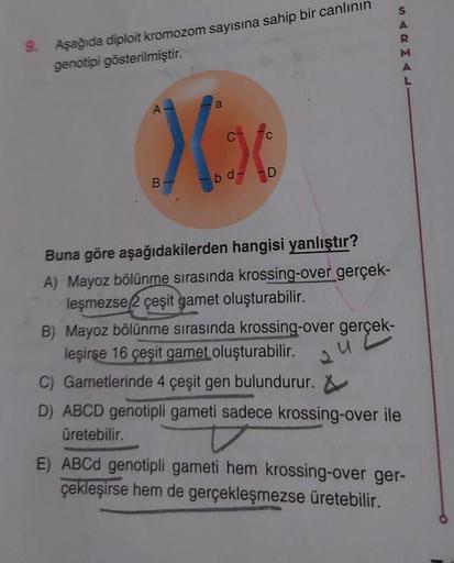 9. Aşağıda diploit kromozom sayısına sahip bir canlının
genotipi gösterilmiştir.
A
a
Xx
B
bd--D
Buna göre aşağıdakilerden hangisi yanlıştır?
A) Mayoz bölünme sırasında krossing-over gerçek-
leşmezse 2 çeşit gamet oluşturabilir.
B) Mayoz bölünme sırasında k