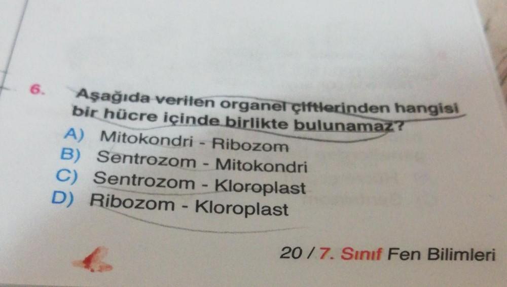 6. Aşağıda verilen organel çiftlerinden hangisi bir hücre içinde ...