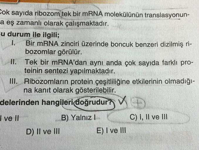 Cok sayıda ribozom tek bir mRNA molekülünün transla... Biyoloji