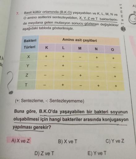 al
7.
Basit kültür ortamında (B.K.O) yaşayabilen ve K, L, M, N ve
O amino asitlerini sentezleyebilen, X, Y, Z ve T bakterilerin-
de meydana gelen mutasyon sonucu gözlenen değişiklikler
aşağıdaki tabloda gösterilmiştir.
Bakteri
Türleri
X
Y
N
T
K
A) X ve Z
+