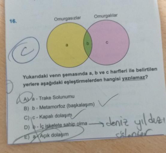 16.
Omurgasızlar
Omurgalılar
Yukarıdaki venn şemasında a, b ve c harfleri ile belirtilen
yerlere aşağıdaki eşleştirmelerden hangisi yazılamaz?
₂.
a - Trake Solunumu
B) b-Metamorfoz (başkalaşım)
C) C-Kapalı dolaşım
D) b-lç iskelete sahip olma
E) a Açık dola