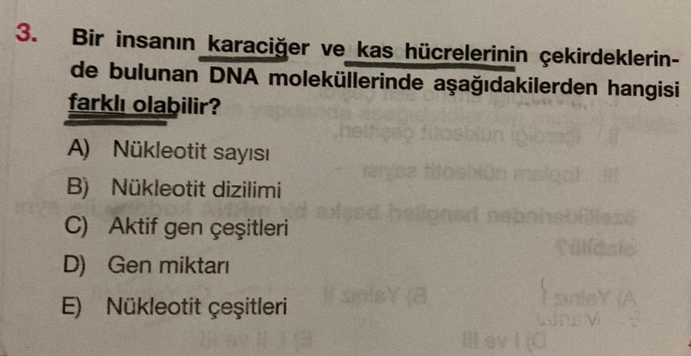 3.
Bir insanın karaciğer ve kas hücrelerinin çekirdeklerin-
de bulunan DNA moleküllerinde aşağıdakilerden hangisi
farklı olabilir?
A) Nükleotit sayısı
B) Nükleotit dizilimi
C) Aktif gen çeşitleri
D) Gen miktarı
E) Nükleotit çeşitleri
helloner nebni
smisY (