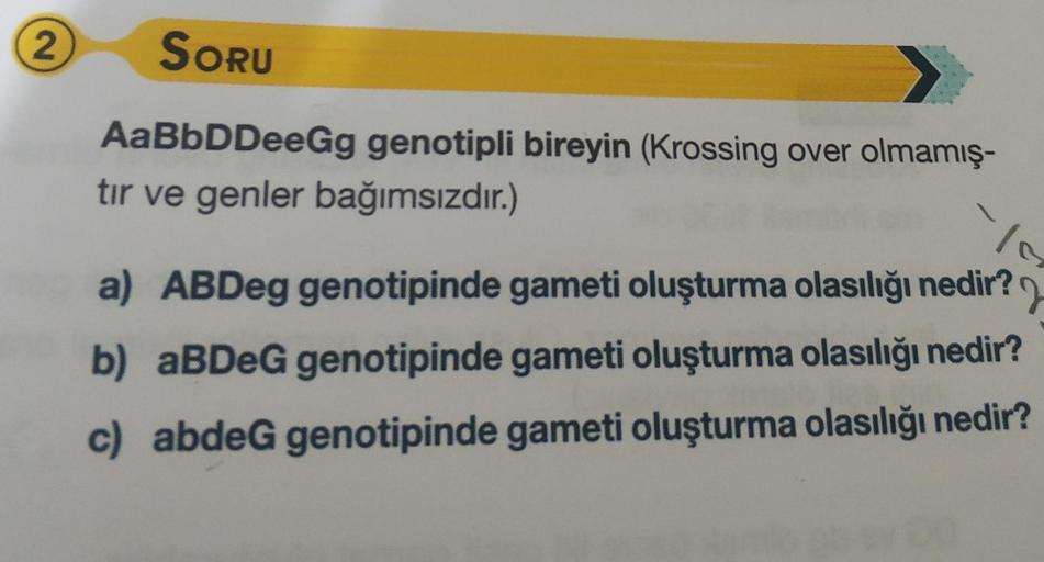 2
SORU
AaBbDDeeGg genotipli bireyin (Krossing over olmamış-
tır ve genler bağımsızdır.)
2
a) ABDeg genotipinde gameti oluşturma olasılığı nedir?
b) aBDeG genotipinde gameti oluşturma olasılığı nedir?
c) abdeG genotipinde gameti oluşturma olasılığı nedir?