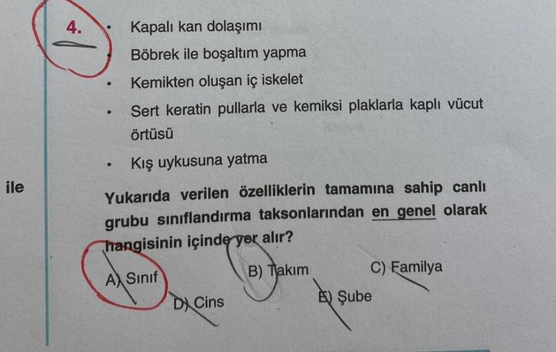 ile
4.
●
●
Sert keratin pullarla ve kemiksi plaklarla kaplı vücut
örtüsü
Kış uykusuna yatma
Yukarıda verilen özelliklerin tamamına sahip canlı
grubu sınıflandırma taksonlarından en genel olarak
hangisinin içinde yer alır?
A Sınıf
B) Takım
Kapalı kan dolaşı