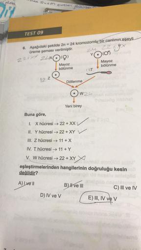 eri gözler
H
The Suem eweleri görüützen
TEST 09
6. Aşağıdaki şekilde 2n = 24 kromozomlu bir canlının eşeyli
üreme şeması verilmiştir.
221xx 24x(
12 z
değildir?
A) I ve Il
(9)
Mayoz
bölünme
Döllenme
D) IV ve V
Yeni birey
24 22+yx
YO (0
W24
(27
Buna göre,
Me