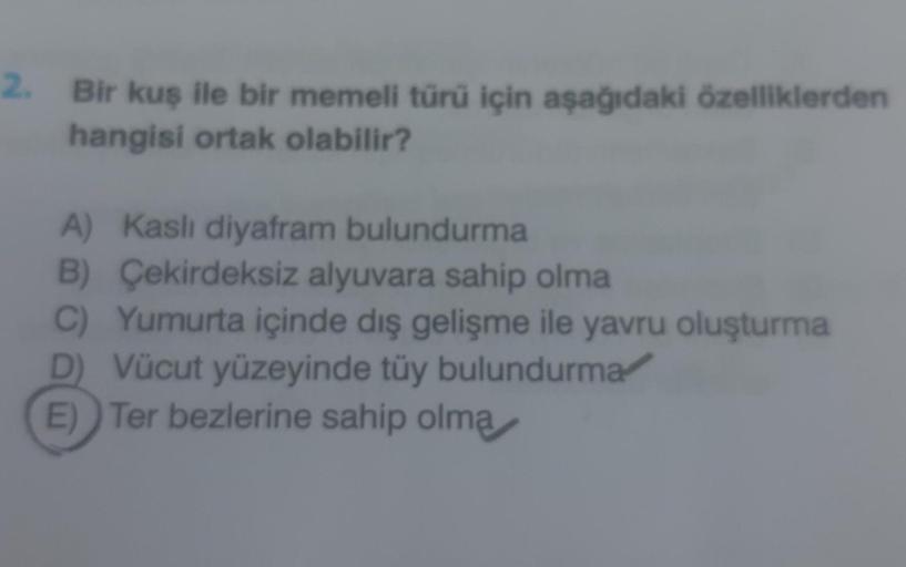 2. Bir kuş ile bir memeli türü için aşağıdaki özelliklerden
hangisi ortak olabilir?
A) Kaslı diyafram bulundurma
B) Çekirdeksiz alyuvara sahip olma
C) Yumurta içinde dış gelişme ile yavru oluşturma
D) Vücut yüzeyinde tüy bulundurma
E) Ter bezlerine sahip o