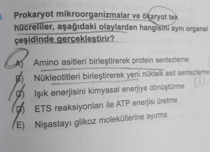 9. Prokaryot mikroorganizmalar ve ökaryot tek
hücreliler, aşağıdaki olaylardan hangisini aynı organel
çeşidinde gerçekleştirir?
Q
Amino asitleri birleştirerek protein sentezleme
Nükleotitleri birleştirerek yeni nükleik asit sentezleme
Işık enerjisini kimya