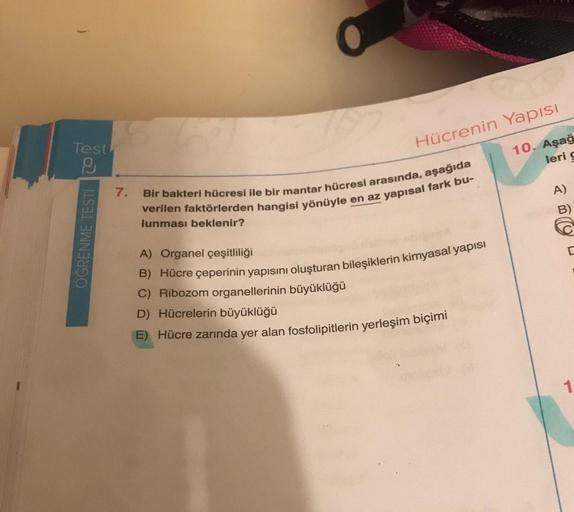 Test
ÖĞRENME TESTI 20
7.
Hücrenin Yapısı
10. Aşağ
leri g
Bir bakteri hücresi ile bir mantar hücresi arasında, aşağıda
verilen faktörlerden hangisi yönüyle en az yapısal fark bu-
lunması beklenir?
A) Organel çeşitliliği
B) Hücre çeperinin yapısını oluşturan