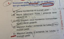 6.
Kromozom sayısı 2n = 44 olan bir türün birey-
leri için aşağıdakilerden hangist söylenemez?
A) Üreme hücrelerinde 44 kromatit vardır. ron
B) Mayoz bölünmenin Profaz I evresinde tetrat
sayısı 22 dir.
20
LC Dişi bireylerin vücut hücrelerinin kromozomları
42+XX olarak gösterilir.
Mayozun Anafaz I evresinde her kutba 22 kro-
mozom çekilir.
Çağdaş Öncü Kurs
E) Mayozun anafaz Ievresinde her kutuba 11
kromatit çekilir.