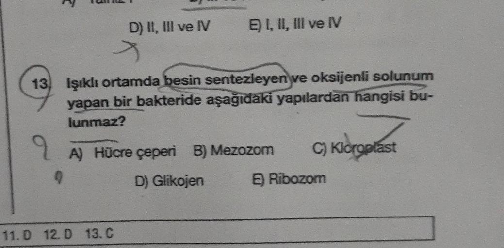 R
D) II, III ve IV
>
E) I, II, III ve IV
13 Işıklı ortamda besin sentezleyen ve oksijenli solunum
yapan bir bakteride aşağıdaki yapılardan hangisi bu-
lunmaz?
11. D 12.D 13. C
A) Hücre çeperi B) Mezozom
9
D) Glikojen
C) Kloroplast
E) Ribozom