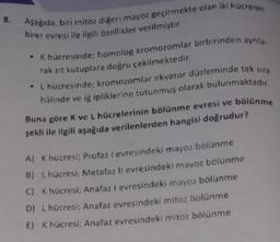 8.
Aşağıda, biri mitoz diğeri mayoz geçirmekte olan iki hücrenin
birer evresi ile ilgili özellikler verilmiştir.
. K hücresinde; homolog kromozomlar birbirinden ayrıla-
rak zıt kutuplara doğru çekilmektedir.
• L hücresinde; kromozomlar ekvator düzleminde tek sıra
hâlinde ve iğ ipliklerine tutunmuş olarak bulunmaktadır.
Buna göre K ve L hücrelerinin bölünme evresi ve bölünme
şekli ile ilgili aşağıda verilenlerden hangisi doğrudur?
A) K hücresi; Profaz I evresindeki mayoz bölünme
B) L hücresi; Metafaz Il evresindeki mayoz bölünme
C) K hücresi; Anafaz I evresindeki mayoz bölünme
D) L hücresi; Anafaz evresindeki mitoz bölünme
E) K hücresi; Anafaz evresindeki mitoz bölünme