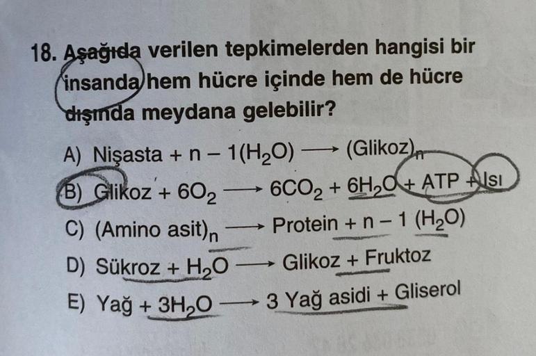 18. Aşağıda verilen tepkimelerden hangisi bir
insanda hem hücre içinde hem de hücre
dışında meydana gelebilir?
(Glikoz)
6CO2 + 6H₂O+ATPISI
Protein + n - 1 (H₂O)
A) Nişasta + n - 1 (H₂O)
(B) Glikoz + 602
C) (Amino asit)n
D) Sükroz + H₂O -
-
Glikoz+Fruktoz
E