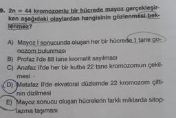 9. 2n = 44 kromozomlu bir hücrede mayoz gerçekleşir-
ken aşağıdaki olaylardan hangisinin gözlenmesi bek-
Tenmez?
A) Mayoz I sonucunda oluşan her bir hücrede 1 tane go-
nozom bulunması
B) Profaz l'de 88 tane kromatit sayılması
C) Anafaz Il'de her bir kutba 22 tane kromozomun çekil-
mesi
(D) Metafaz Il'de ekvatoral düzlemde 22 kromozom çifti-
nin dizilmesi
E) Mayoz sonucu oluşan hücrelerin farklı miktarda sitop-
lazma taşıması