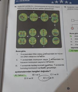 TYT/FEN BİLİMLERİ
18. Aşağıdaki şekilde 2n = 6 kromozomlu bir hücrenin mayoz
bölünme evrelerine ait bazı şekiller gösterilmiştir.
X
yr iz
y f
Buna göre,
I.
III.
3V2
T
Y
N
X evresindeki DNA miktarı Zevresindeki bir hücre-
nin DNA miktarının iki katıdır.
D) II ve III
****
II.
Y evresindeki kromozom sayısı Tevresindeki bir
hücrenin kromozom sayısının iki katıdır.
Y evresinde kardeş kromatit ayrılması, T evresinde
homolog kromozom ayrılması gerçekleşir.
açıklamalarından hangileri doğrudur?
A) Yalnız I
B) I ve II
C) I ve III
E) I, II ve III
19. Aşağıdaki soy
gösteren bireyl
Buna göre
1.
otoz
II.
otoz
III.
X'e
IV.
X'e
taşınma
A) Yalnız