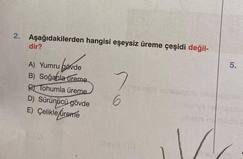 2. Aşağıdakilerden hangisi eşeysiz üreme çeşidi değil-
dir?
börde
gövde
A) Yumru
B) Soğanla ureme.
Tohumla üreme
D) Sürünücü gövde
E) Çelikle üreme
ibres nisto isosiraulo inhshop108
birys he
arbinys he milisih
Il ev 11.1 (0)
5.
94272