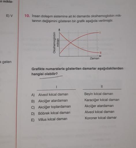 -n mikta-
E) V
a gelen
10. İnsan dolaşım sistemine ait iki damarda oksihemoglobin mik-
tarının değişimini gösteren bir grafik aşağıda verilmiştir.
Oksihemoglobin
miktarı
<
Zaman
Grafikte numaralarla gösterilen damarlar aşağıdakilerden
hangisi olabilir?
A)