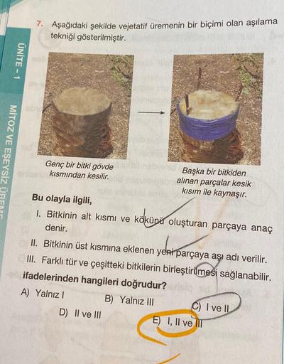 MITOZ VE EŞEYSİZ ÜRFM
ÜNİTE-1
7. Aşağıdaki şekilde vejetatif üremenin bir biçimi olan aşılama
tekniği gösterilmiştir.
Genç bir bitki gövde
kısmından kesilir.
Başka bir bitkiden
alınan parçalar kesik
kısım ile kaynaşır.
Bu
olayla ilgili,
1. Bitkinin alt kıs