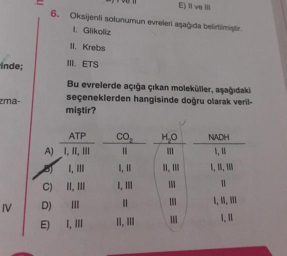 inde;
zma-
IV
IT
E) II ve III
6. Oksijenli solunumun evreleri aşağıda belirtilmiştir.
1. Glikoliz
II. Krebs
III. ETS
Bu evrelerde açığa çıkan moleküller, aşağıdaki
seçeneklerden hangisinde doğru olarak veril-
miştir?
ATP
A) I, II, III
5)
I, III
C)
II, III