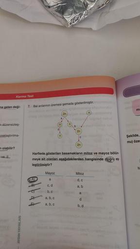 na gelen deği-
m.düzensizleş-
Karma Test
zaklaştırılma-
m olabilir?
ve Il
alojav
AYDIN YAYINLA
7. Bal anılarının üremesi şemada gösterilmiştir. pam
(2n)
nin nomo
Tillidellalgne
A
B
D
E
Harflerle gösterilen basamakların mitoz ve mayoz bölün-
meye ait olanla