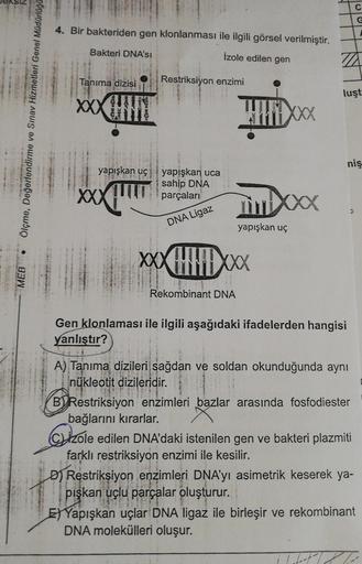 Ölçme, Değerlendirme ve Sınav Hizmetleri Genel Müdürlüğü
TAN
MEB
4. Bir bakteriden gen klonlanması ile ilgili görsel verilmiştir.
Bakteri DNA'SI
İzole edilen gen
Tanıma dizisi
XXXHIN
yapışkan uç
XXX
Restriksiyon enzimi
yapışkan uca
sahip DNA
parçaları
DNA