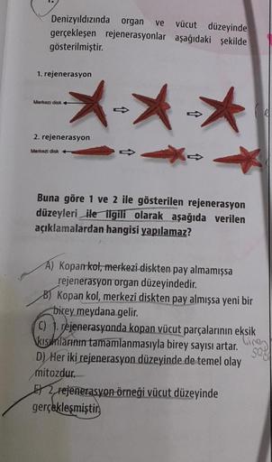 Denizyıldızında organ ve
vücut düzeyinde
gerçekleşen rejenerasyonlar aşağıdaki şekilde
gösterilmiştir.
★★★
1. rejenerasyon
Merkezi disk +
2. rejenerasyon
Merkezi disk
Buna göre 1 ve 2 ile gösterilen rejenerasyon
düzeyleri ile ilgili olarak aşağıda verilen