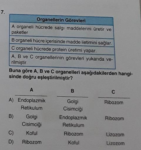 7.
Organellerin Görevleri
A organeli hücrede salgı maddelerini üretir ve
paketler
B organeli hücre içerisinde madde iletimini sağlar.
C organeli hücrede protein üretimi yapar.
A, B ve C organellerinin görevleri yukarıda ve-
rilmiştir.
Buna göre A, B ve C o