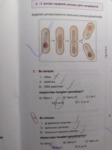 da
2.-3. soruları aşağıdaki parçaya göre cevaplayınız.
Aşağıdaki şemada bakterinin bölünerek üremesi gösterilmiştir.
2.
001
Bu süreçte;
I. mitoz,
II. sitokinez,
III. DNA eşlenmesi
olaylarından hangileri gerçekleşir?
A) Yalnız I
B) Yalnız III
DY II ve II
A)