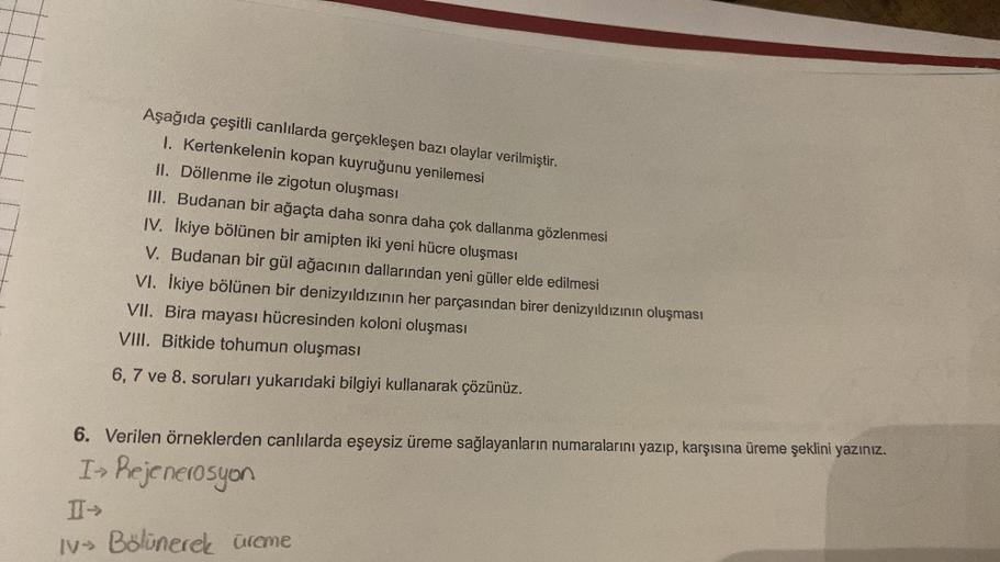 Aşağıda çeşitli canlılarda gerçekleşen bazı olaylar verilmiştir.
I. Kertenkelenin kopan kuyruğunu yenilemesi
II. Döllenme ile zigotun oluşması
III. Budanan bir ağaçta daha sonra daha çok dallanma gözlenmesi
IV. İkiye bölünen bir amipten iki yeni hücre oluş