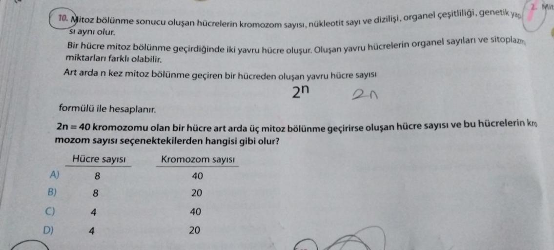 10. Mitoz bölünme sonucu oluşan hücrelerin kromozom sayısı, nükleotit sayı ve dizilişi, organel çeşitliliği, genetik yap
si aynı olur.
Bir hücre mitoz bölünme geçirdiğinde iki yavru hücre oluşur. Oluşan yavru hücrelerin organel sayıları ve sitoplazm
miktar