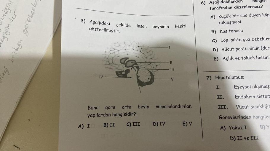 egiyim der
itaji bozduğu gerekaller
mediğini
3) Aşağıdaki şekilde insan beyninin kesiti
gösterilmiştir.
AC
A) II
Buna göre orta beyin numaralandırılan
yapılardan hangisidir?
B) II
C) III
|||
D) IV
E) V
6) Aşağıdakilerden hangisi
tarafından düzenlenmez?
A) 