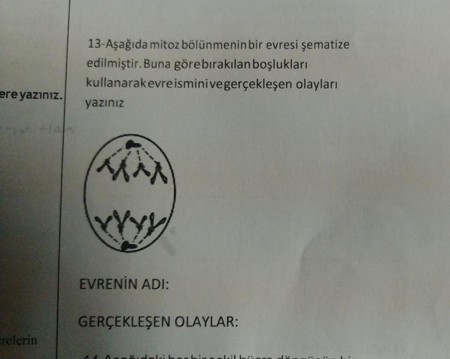 ere yazınız.
Erelerin
13-Aşağıda mitoz bölünmenin bir evresi şematize
edilmiştir. Buna göre bırakılan boşlukları
kullanarakevreismini ve gerçekleşen olayları
yazınız
YYYY
EVRENİN ADI:
GERÇEKLEŞEN OLAYLAR: