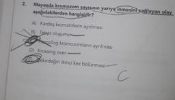 2.
Mayozda kromozom sayısının yarıya inmesini sağlayan olay
aşağıdakilerden hangisidir?
A) Kardeş kromatitlerin ayrılması
B) Tetrat oluşumu
Homolog kromozomların ayrılması
D) Krossing over
Eekirdeğin ikinci kez bölünmesi
c